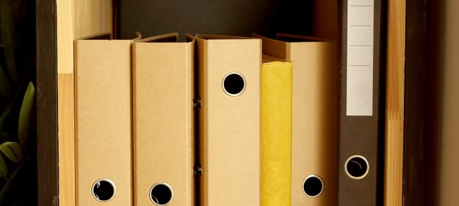 Folders stand on the shelf in the office